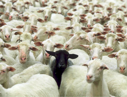 Mentaliseren en sociaal herstel bij psychose