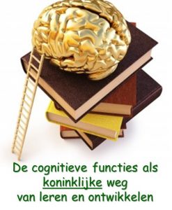 cognitieve_functies_hersenen_koninklijk