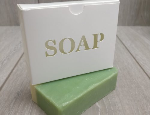 VR-SOAP: Modulaire CGT met Virtual Reality voor sociale participatie bij jongeren met psychose – een pilot studie met 5 deelnemers